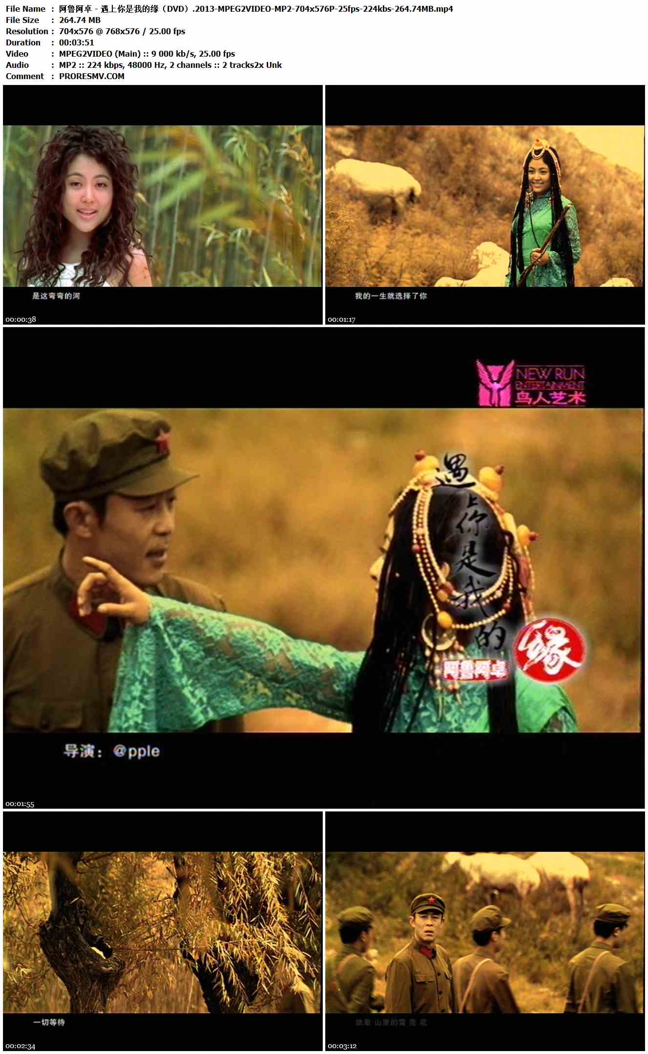 阿鲁阿卓 - 遇上你是我的缘（DVD）.2013-MPEG2VIDEO-MP2-704x576P-25fps-224kbs-264.74MB官方MV_高清MV